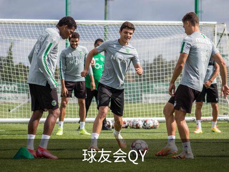 球友会QY品牌故事